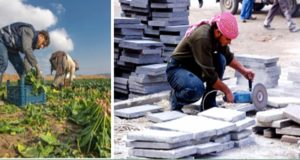 المشروعات المتوسطة والصغيرة.. البزنس المفقود بانتظار تظهير جديد بعد إخفاقات مزمنة