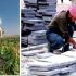 المشروعات المتوسطة والصغيرة.. البزنس المفقود بانتظار تظهير جديد بعد إخفاقات مزمنة