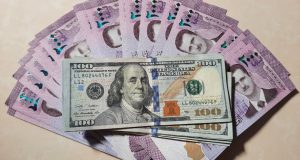 دولرة الاقتصاد.. استقرار نقدي على حساب القرار الوطني