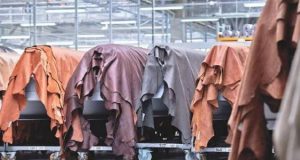 الدباغة. صناعة مهددة بالانقراض.. فرص مهدورة بين ضعف التصدير وارتفاع التكاليف