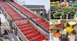 الصناعات الغذائية في سوريا.. بين منافسة المستورد وفرص الزراعة التعاقدية