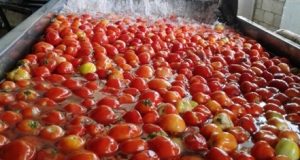 استثمارات سعودية في الصناعات الغذائية السورية.. هل تدعم تعافي القطاع؟
