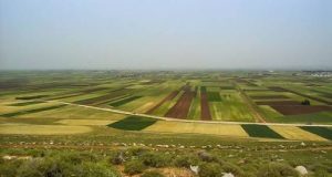 ‏الزراعة في سوريا إلى أين؟..