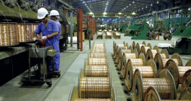 ديروان: الانفتاح التجاري أعاد ترتيب العلاقة بين المنتج والمستهلك